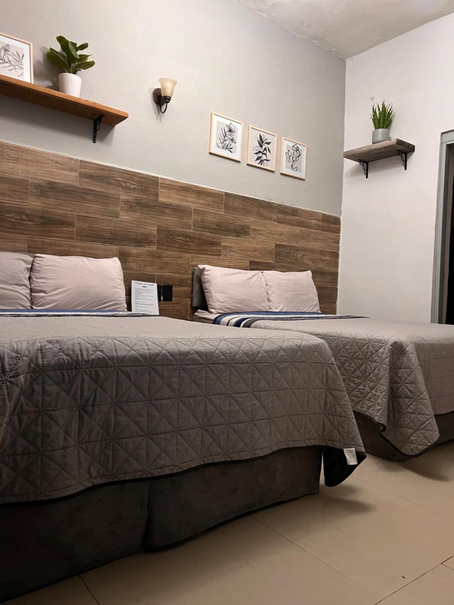 The Black Tree Hotel Colonial Mazatlan Bagian luar foto