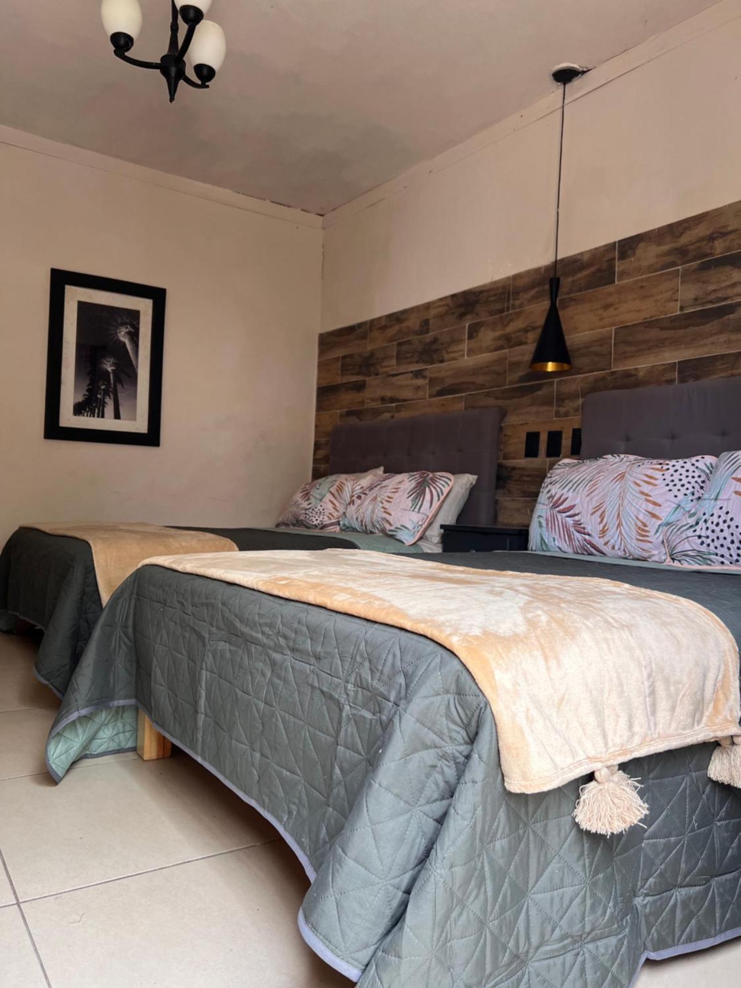 The Black Tree Hotel Colonial Mazatlan Bagian luar foto