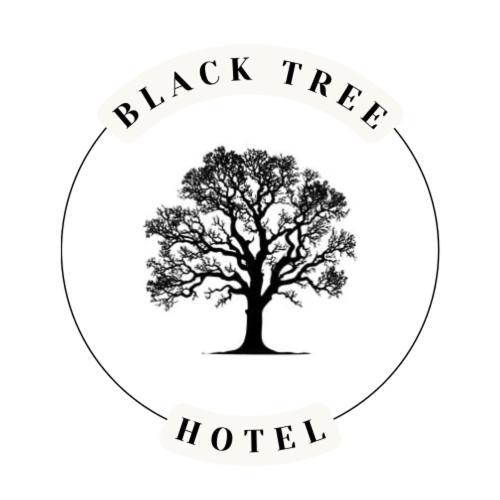 The Black Tree Hotel Colonial Mazatlan Bagian luar foto