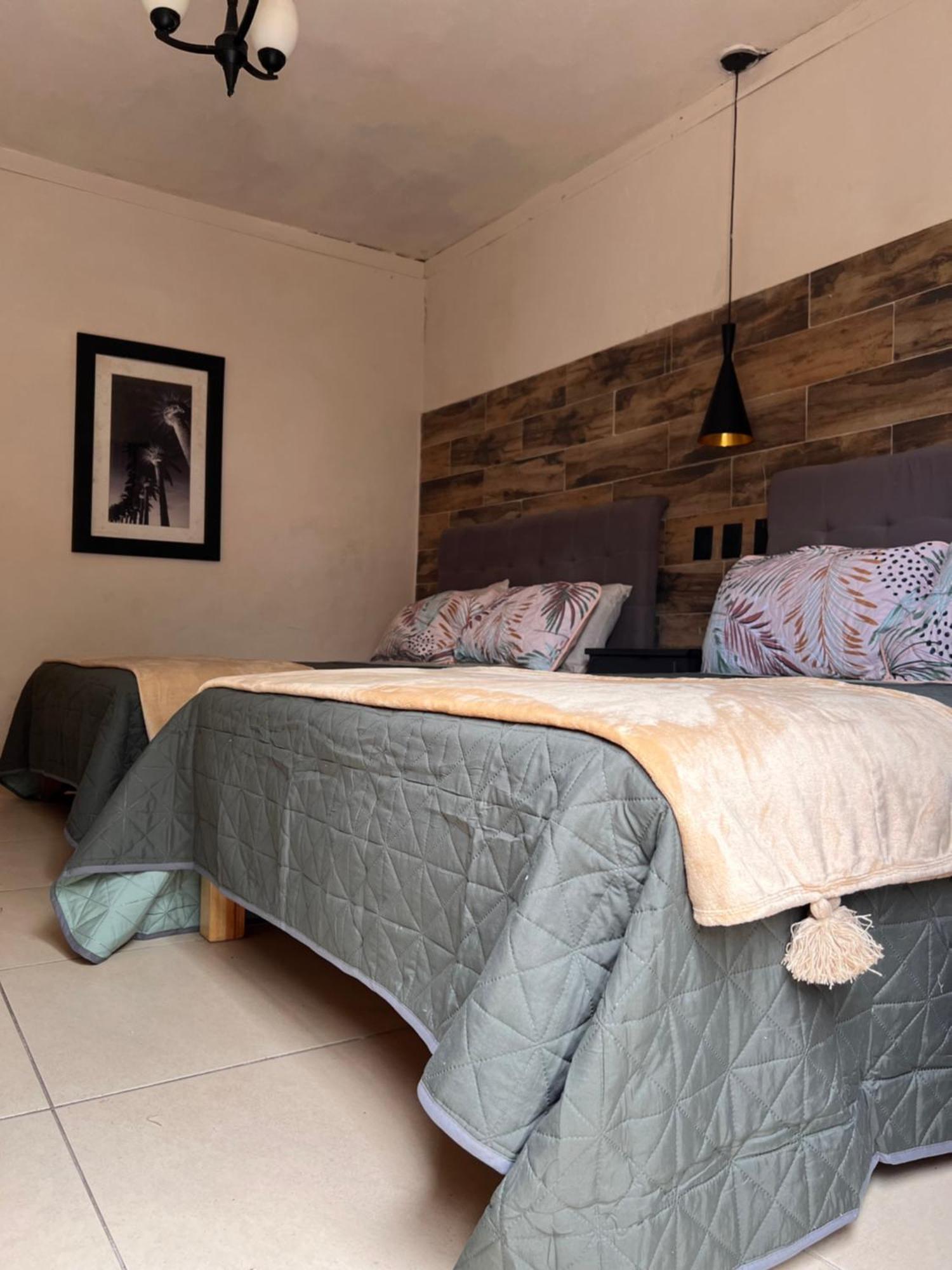 The Black Tree Hotel Colonial Mazatlan Bagian luar foto
