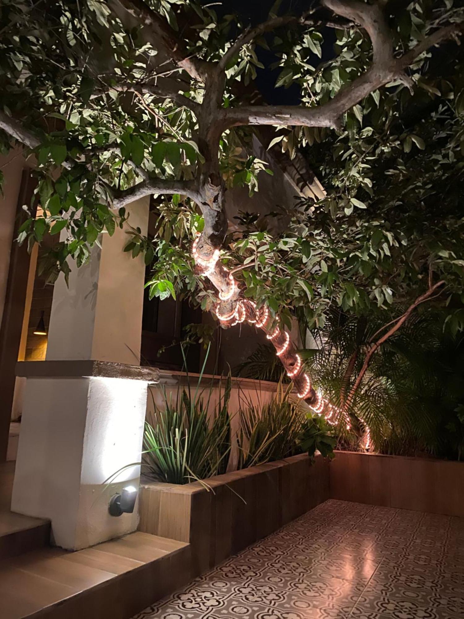 The Black Tree Hotel Colonial Mazatlan Bagian luar foto